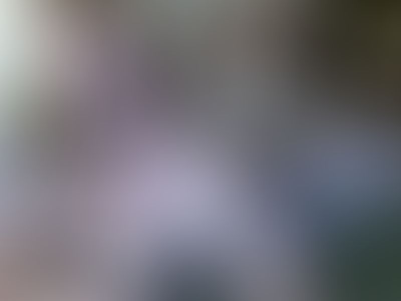 41 pics from May 2024: garters, glasses, completely naked, a teddy, tee shirt and panties, nylons, high heels and red lipstick! 💋