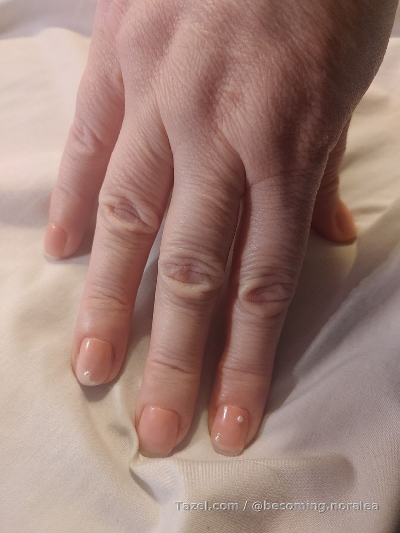 A late night post to show off a look from earlier + my first set of fake nails with Ioni nail glue (which is very good, from what I've heard! The nail brand is LA looks. The nails themselves are ok: a little rough edges I chose not to take a file too plus the white tips are clear and white. They've held for 3 hours now. Hopefully much longer! I used the Clean Beauty cream blush and lips on my eyelids. I don't know if the blending was bad on my part or the blush caked up funny, but I love this look none-the-less!