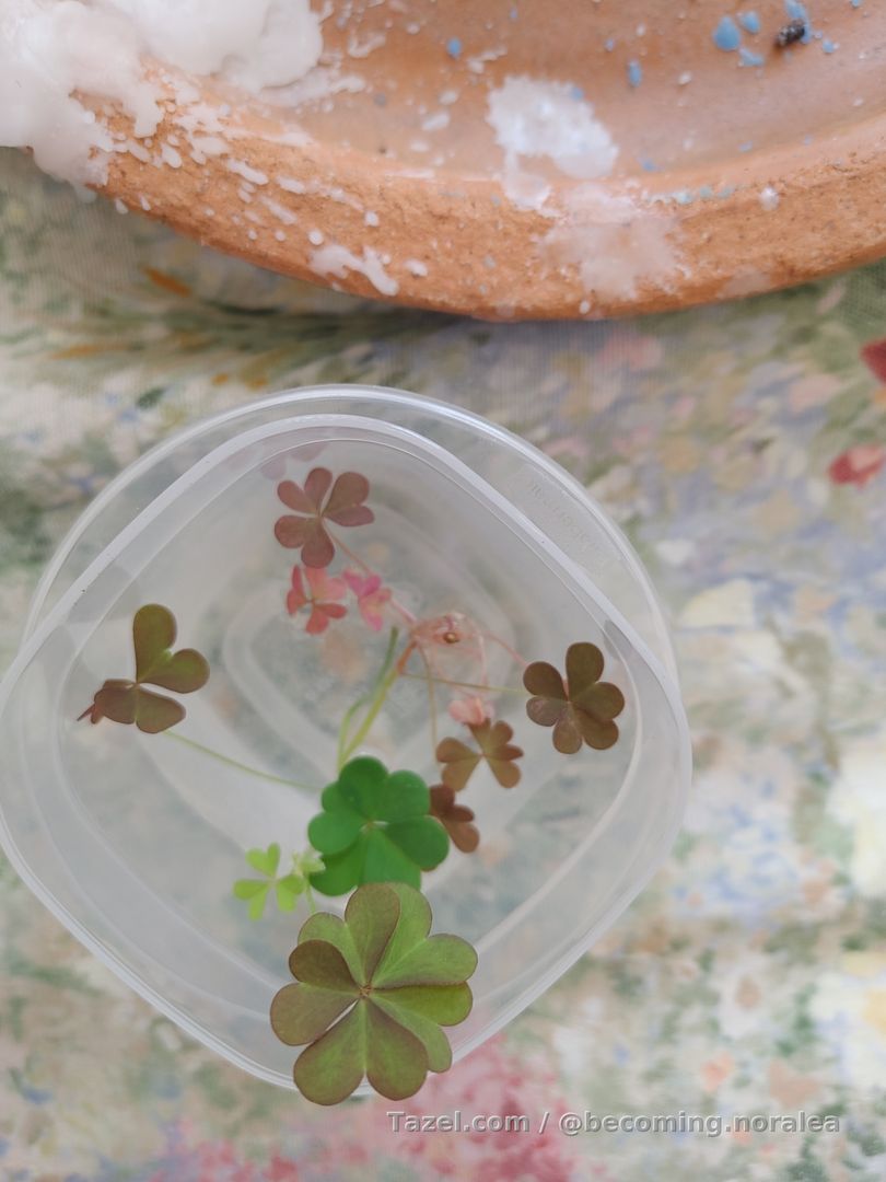 Sometimes you need to go looking for luck!