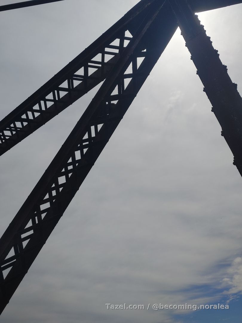 From sitting in front of a computer to walking. It's what I do, every few hours, every day now. 

Here are a few views from one walk. And flounder for sale at a little market nearby, for no other reason than I know I couldn't get it until I moved here!

I just moved to the south! It's been almost a month and I'm having a blast. More to come...